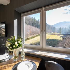 Kurort Kozubnik Daglezja D23 Vista Stay