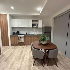 Loft in Providencia near US Consulate
