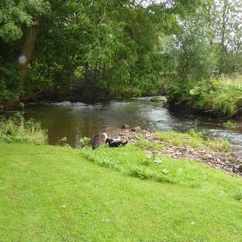 Colourmill cottage, hotel u gradu 'Leek'