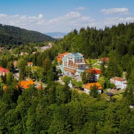 Hotel O3zone - Mountain Spa & Conference, hotel di Baile Tusnad