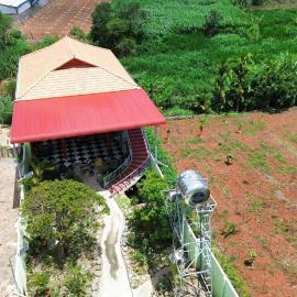 Líu homestay