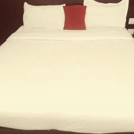 Hotel Red ark inn, hotell sihtkohas Mohali