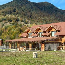 Chalet in Muntii Vrancei، فندق في Greşu