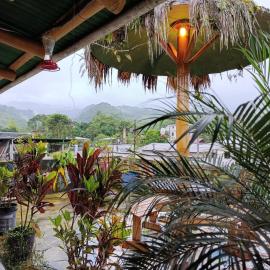 Golden Bird, Mindo, hotel i Mindo