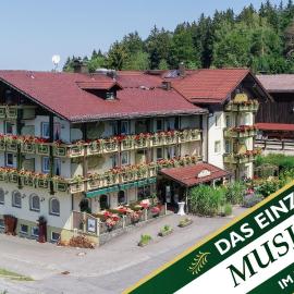 Musikhotel zum singenden Musikantenwirt, hótel í Schweinhütt