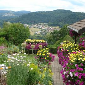 Le Gite Fleuri, Hotel in Haselbourg