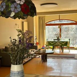 阿尔卑斯度假小屋, Hotel in Chongli