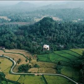The Paddy Breeze Villa, hotel in Marukwatura