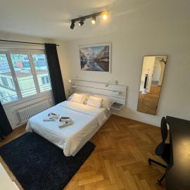 Cosy studio in Lausanne Flon, viešbutis Lozanoje