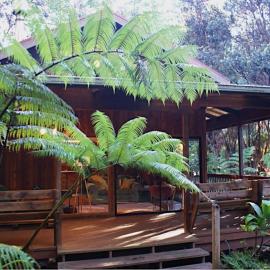 Beautiful Cedar Cottage in Volcano, hotel em Volcano