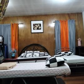 Jenny's transient house