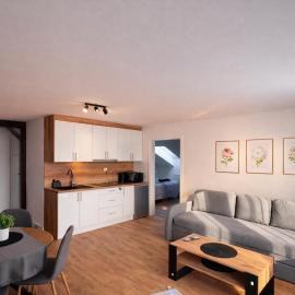 Apartamenty Nad Pilicą - Klimatyzacja - Sulejów, Hotel in Sulejów