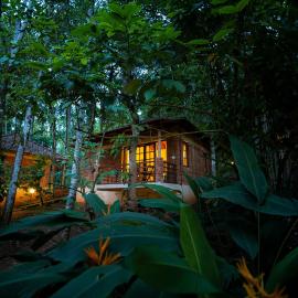 Raindrops Resorts Wayanad, Hotel in Wayanad