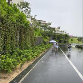 Alma Resort - Căn hộ