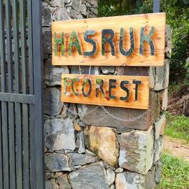 Hasruk Eco Rest、Yatipauwaのホテル