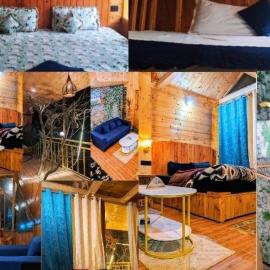 Kaasht Kunj Tree House, hotel i Jibhi