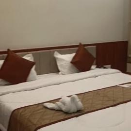 The Nature Park Hotel, hotel en Mudhol