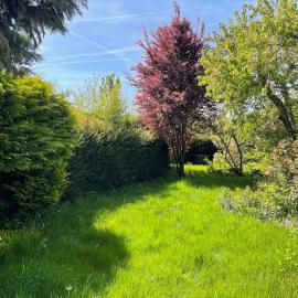 Ganzes Haus mit Garten - exklusiv für eure Gruppe