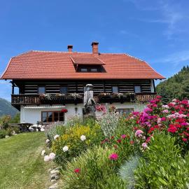 Pirkerhof, hotel em Afritz am See