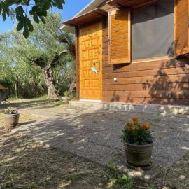 The poet's house