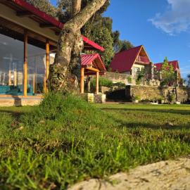 The Jungle Hook Binsar