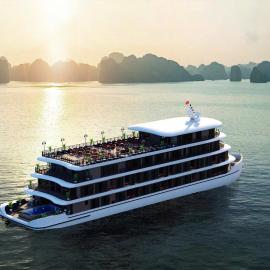 Cycad Grand Cruise