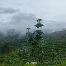 Hillocks and The Spring, hotel in Sampaji