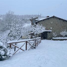 L'Orto di Scarpaccia