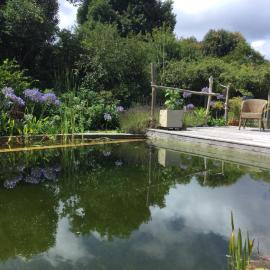 CHAMBRE DANS CABANE EN BOIS avec PISCINE ECOLOGIQUE, hotel a La Teste-de-Buch