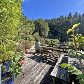 Bluebell cabin