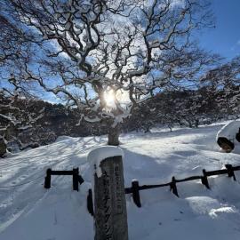 Viesnīca Blue Art Satoyama Retreat pilsētā Ōasa