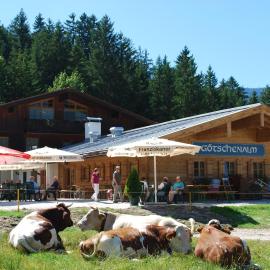 Alpengasthof Götschenalm, hotel din Bischofswiesen