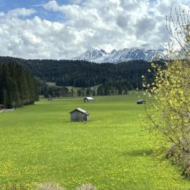 Chalet Cristall Superior Appartement 4