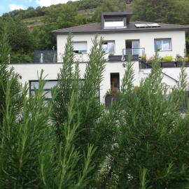 Gîte EMOZIONE, Hotel in Guebwiller