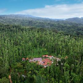 Jungle Greens Homestay - 150Y Old Coffee Estate, Home Food, Jungle Safari