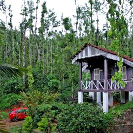Jungle Greens Homestay - 150Y Old Coffee Estate, Home Food, Jungle Safari، فندق في تشكماغالور