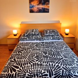 City Center Apartments - Moderna Brno Římské náměstí I, hotel in Brno