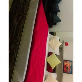 Rishi Residency