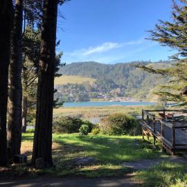 2BR Estuary Views with Spa and Easy Ocean and River Access, hotel in Jenner