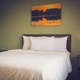 Forrest Inn, hotel en Amery