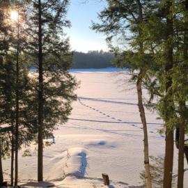 Muskoka Sunset Heaven Lakefront Retreat – hotel w mieście Bracebridge