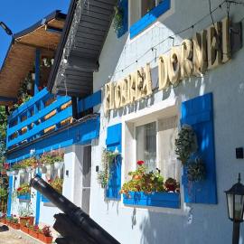 Pensiunea Floarea Dornei, hotel a Şarul Dornei