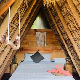 Tribu Tipis & Surf，波多埃斯康迪的飯店