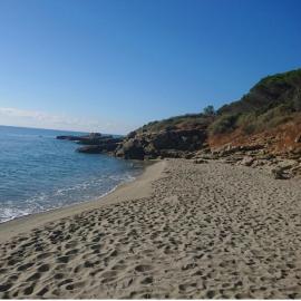 T2 paradisiaque en bord de mer et piscine, hotel in Linguizzetta