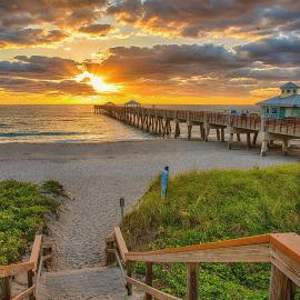 Casa Amor - Steps from Dog Beach in Jupiter, готель у місті Джюпітер