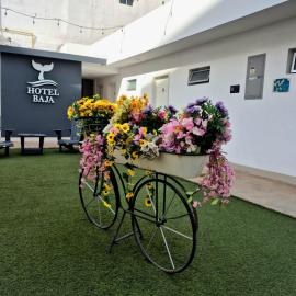Hotel Baja