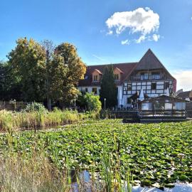 Hotel Gröbern am See, hotel en Gröbern
