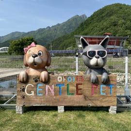 mungyeong pet gramping gentlepet paradise, hotel a Mungyeong