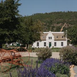 Rickety Bridge Estate: Franschhoek şehrinde bir otel