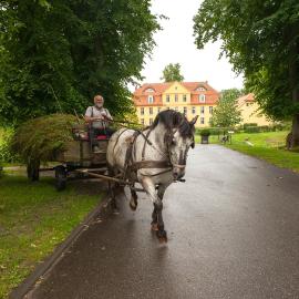 Walkendorf में, होटल Schloss Lühburg-Insel der Ruhe im Mecklenburger ParkLand
